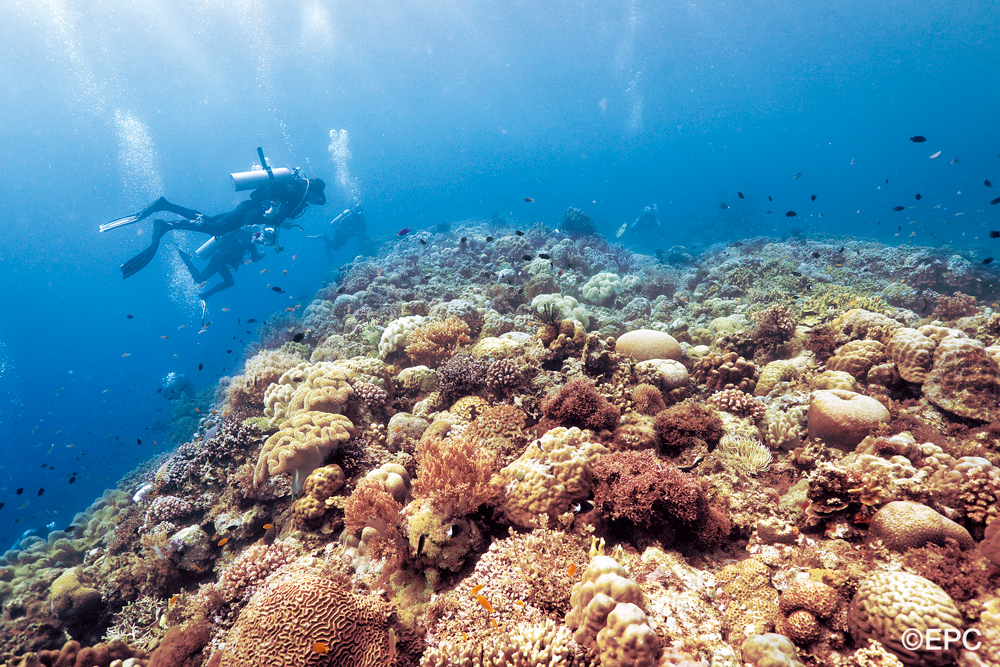 subacquea filippine
