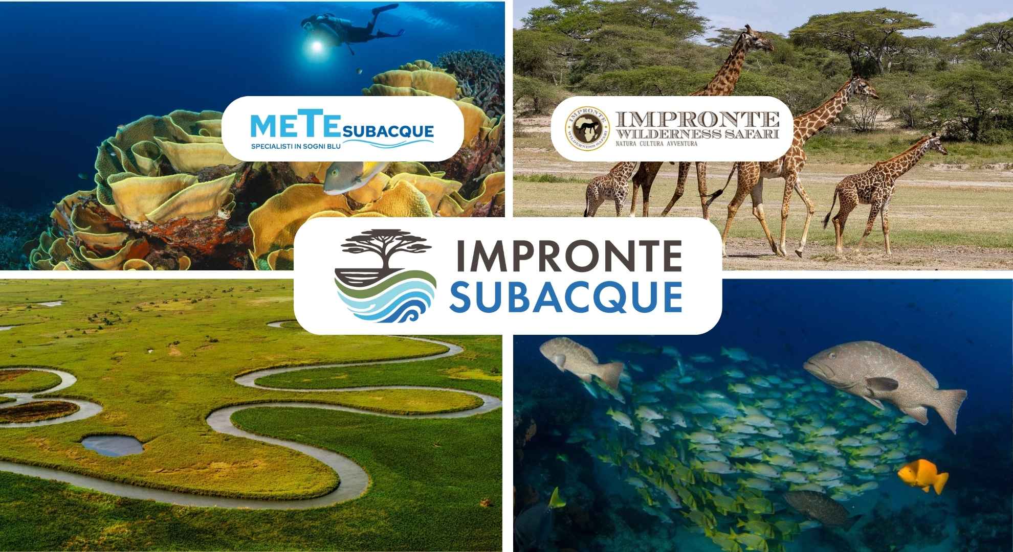 impronte subacque unione due brand specializzati turismo mare e terra safari e subacquea