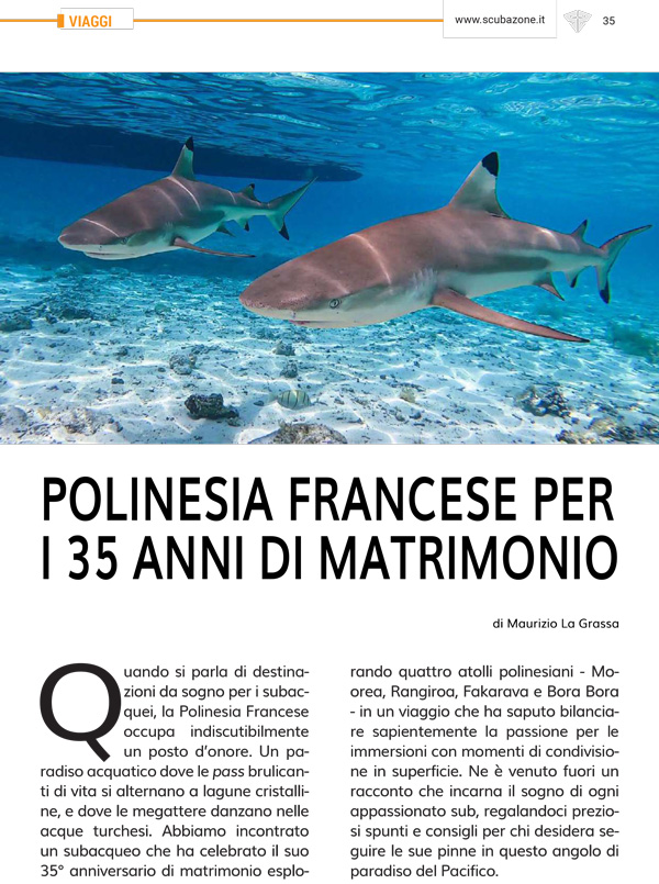 polinesia francese subacquea articolo scubazone